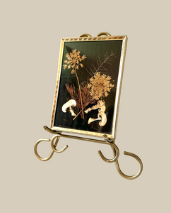 Framed Woodland Pressed Flowers