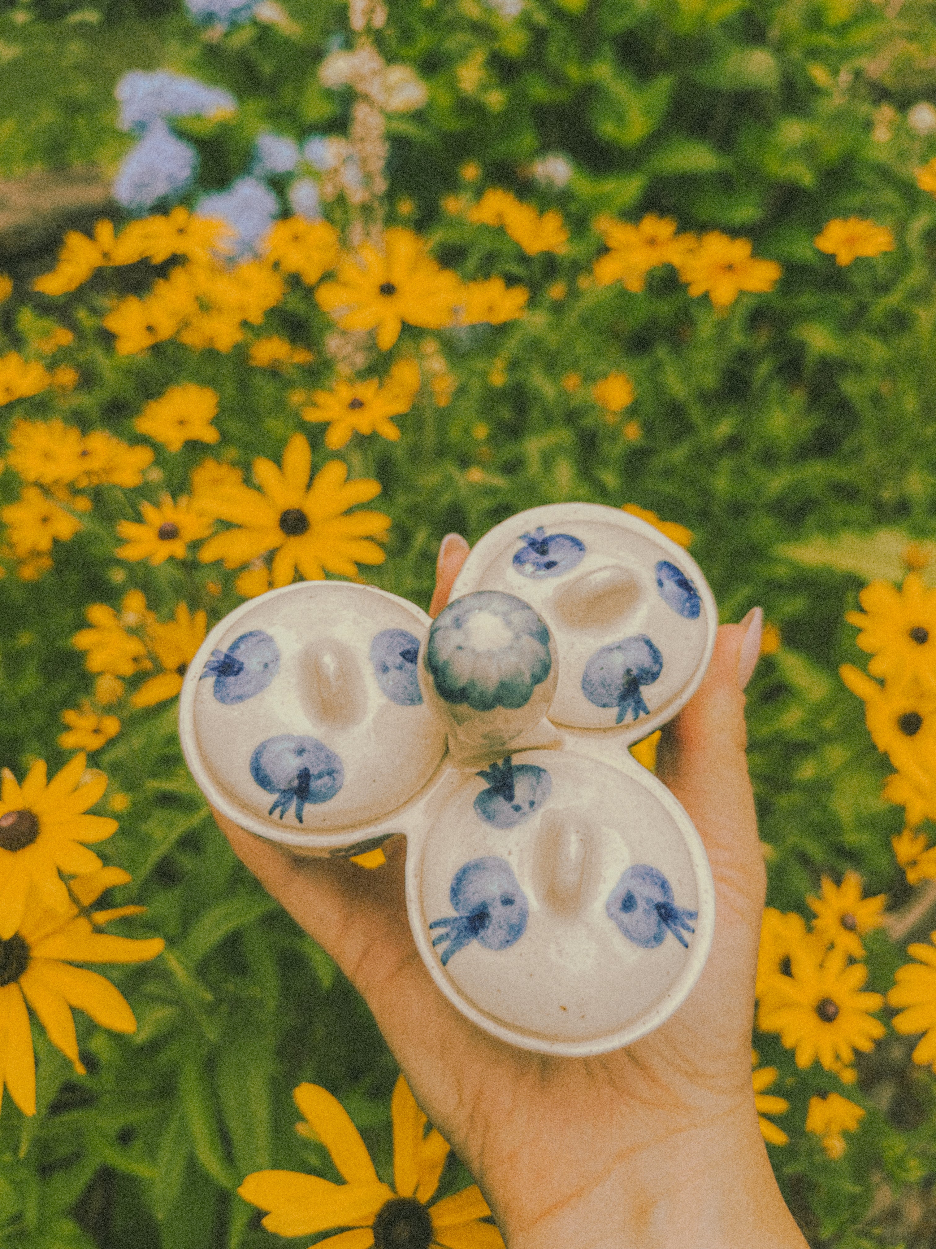 Blueberry and Floral 3-Compartment Dish